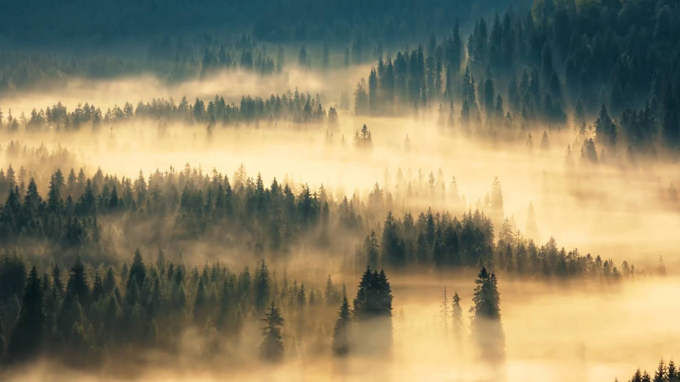 福彩形象专题片